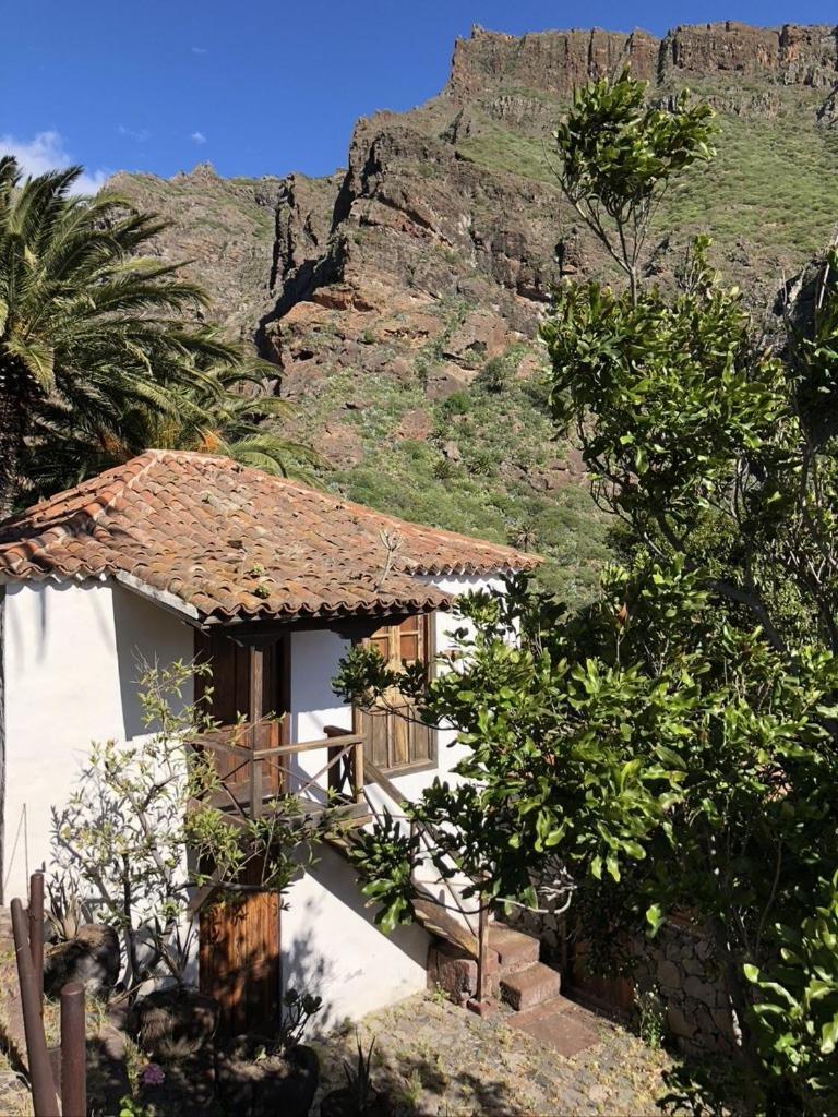 Home2Book El Encanto De La Torre I Santa Cruz de Tenerife Bagian luar foto
